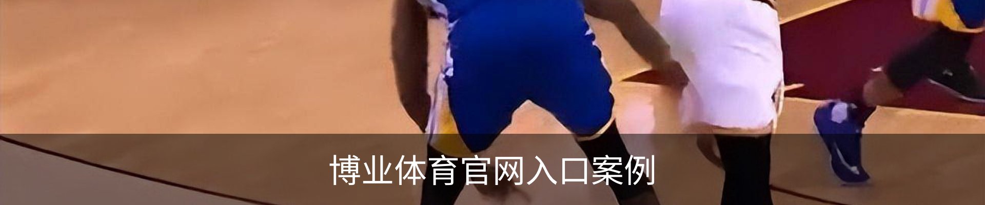 博业体育官网入口案例