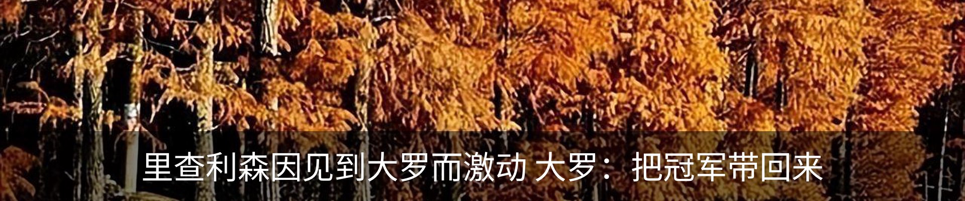 行业资讯